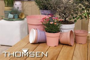 Thomsen